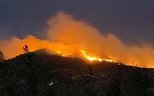 Forest Fire Aid for Antalya and Muğla